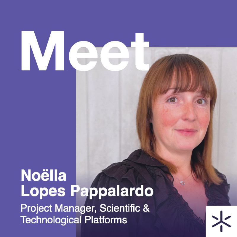 MIB_carou_meet (1)-1